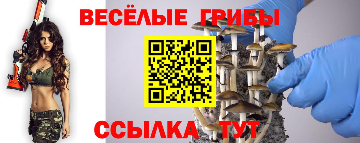 Псилоцибиновые грибы мицелий Урюпинск